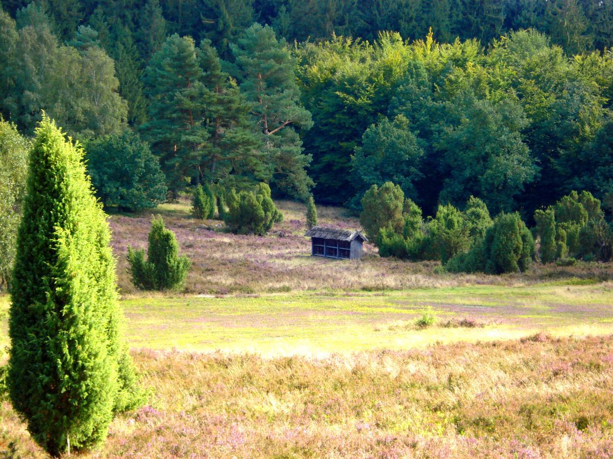 Landgasthaus Zum Naturschutzpark Bispingen Kültér fotó