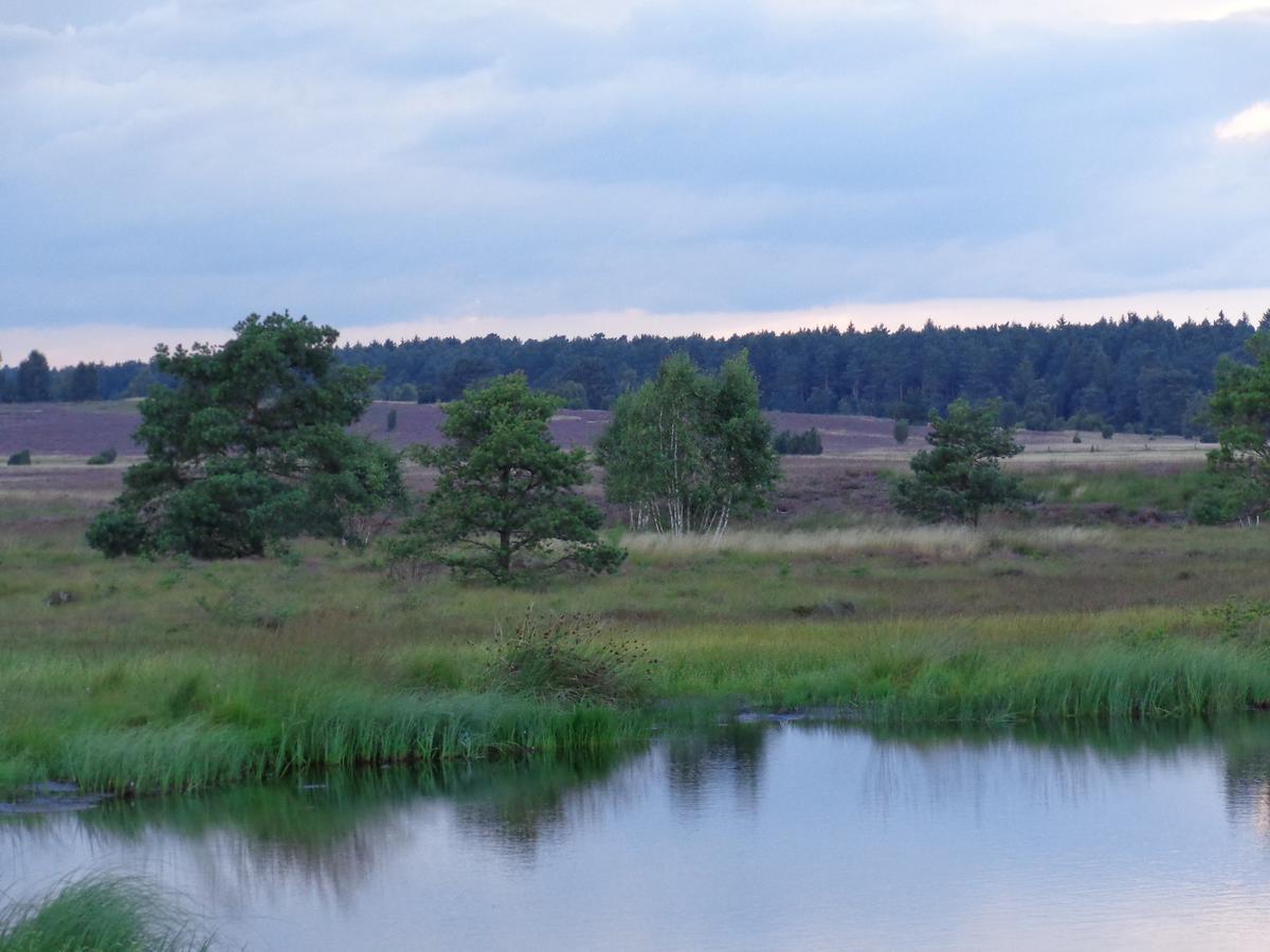 Landgasthaus Zum Naturschutzpark Bispingen Kültér fotó