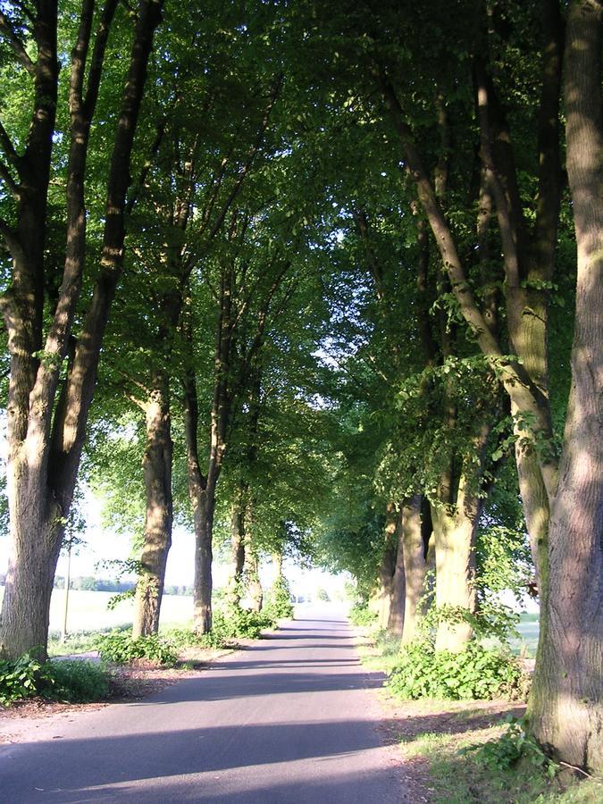 Landgasthaus Zum Naturschutzpark Bispingen Kültér fotó